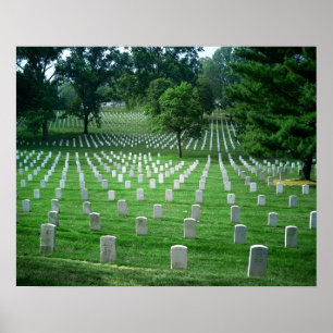 Poster Caído mas não esquecido