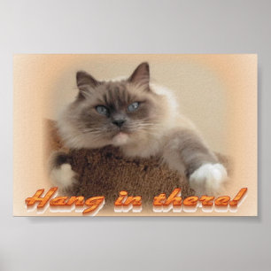 Pôster Cair dentro lá!