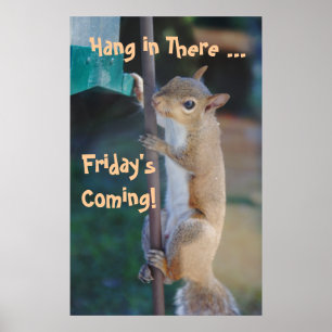 Pôster Cair dentro lá, Friday'sComing! Esquilo