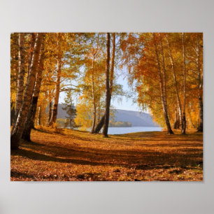 Pôster Cair para Cair