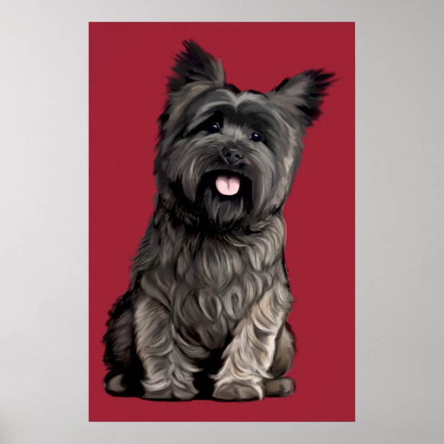 Poster Cairn Terrier (Frente)