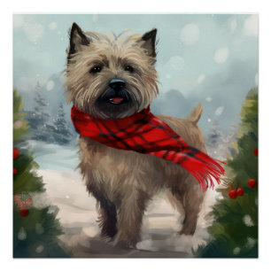 Pôster Cairn Terrier Dog no Natal da Neve