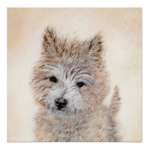 Pôster Cairn Terrier Puppy Painting - Arte Original De Cã