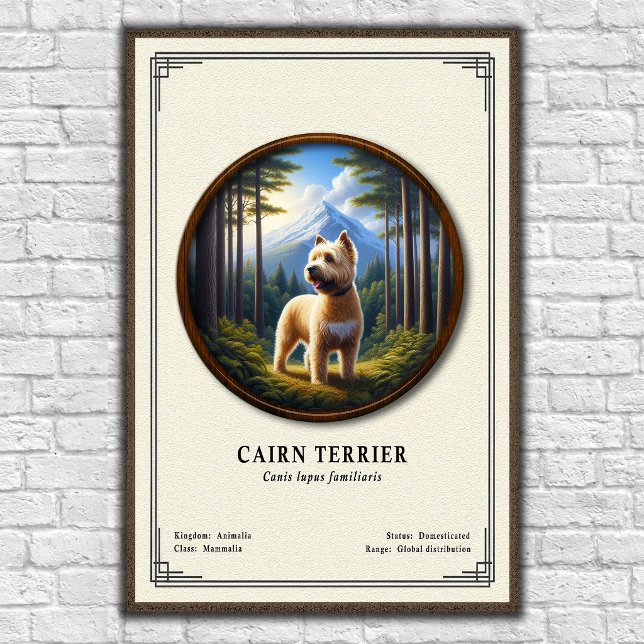 Poster Cairn Terrier Zoology Series (Criador carregado)