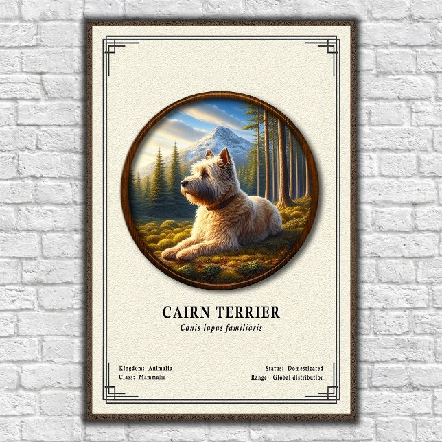 Poster Cairn Terrier Zoology Series (Criador carregado)