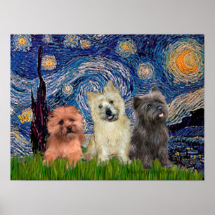 Poster Cairn Terriers (três) - Starry Night