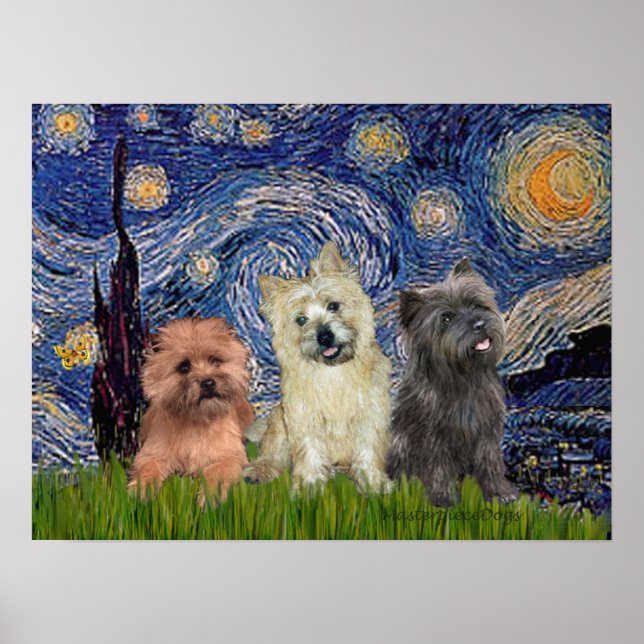 Poster Cairn Terriers (três) - Starry Night (Frente)
