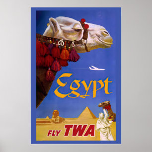 Poster Cairo Egito Pirâmides Camelo Mundo Viagem Antiga