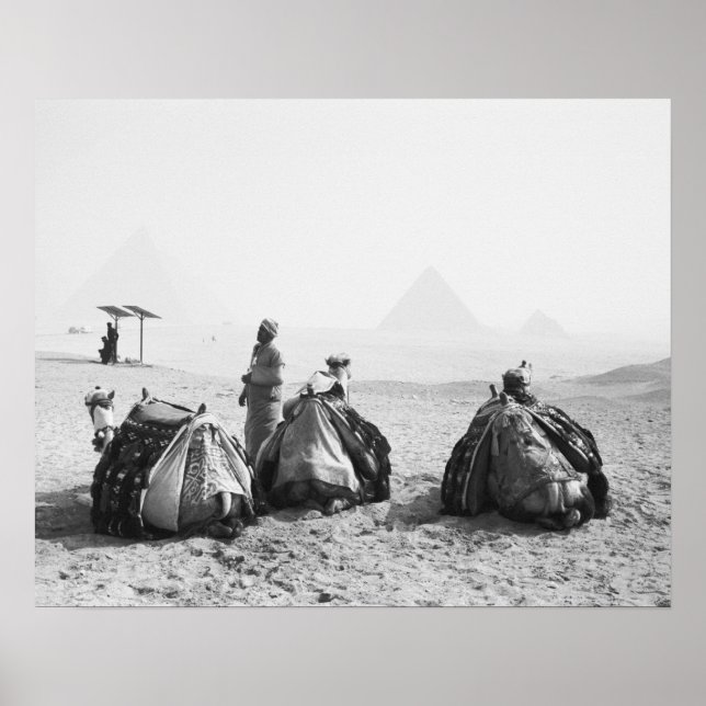 Pôster Cairo Egypt, Camel Jockeys Giza Pyramids (NR) (Frente)