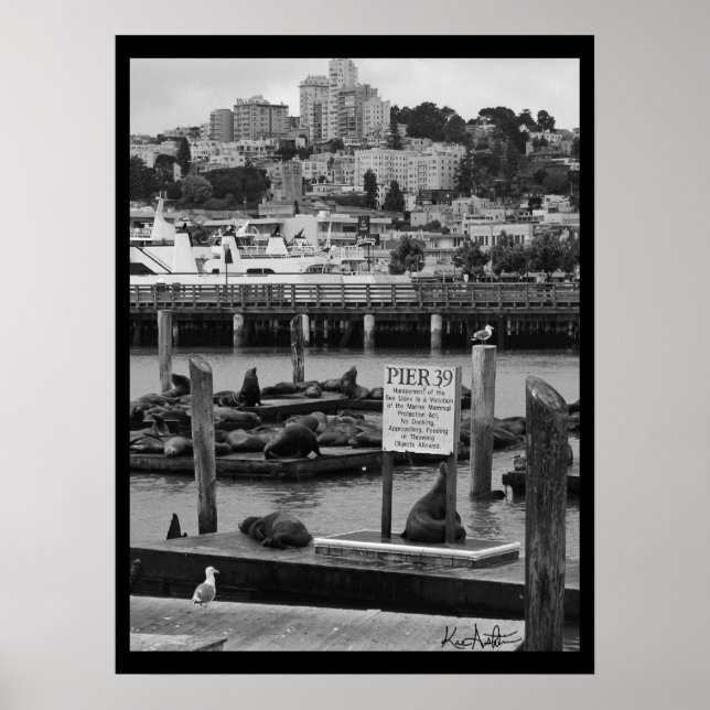 Poster Cais 39 (Frente)