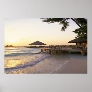 Poster Cais havaiano