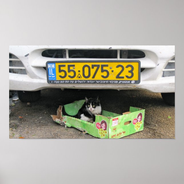 Pôster Caixa 1 (Frente)