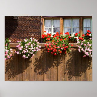 Poster caixa de flores suíça