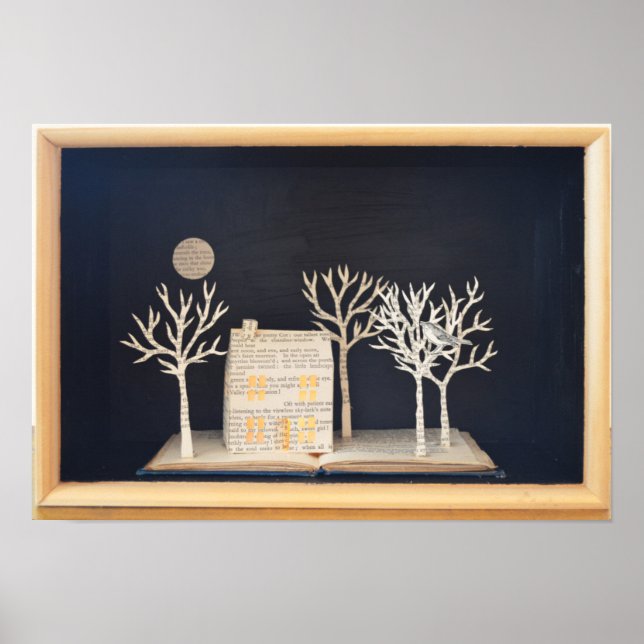 Poster Caixa de luz de algodão 2012 (Frente)