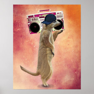 Poster Caixa de Meerkat e Boom