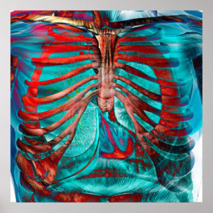 Pôster Caixa humana