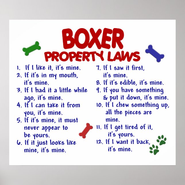 PÔSTER CAIXA PL2 (Frente)