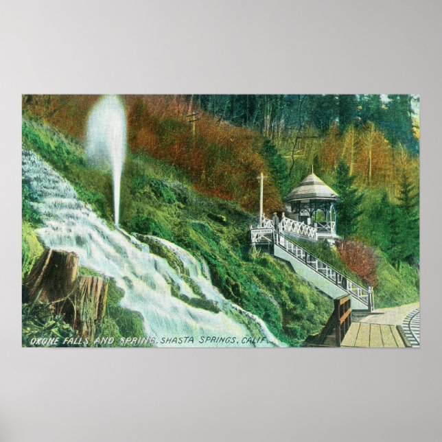 Pôster Caixas de Oxone e Primavera VerPrimaveras Shasta,  (Frente)