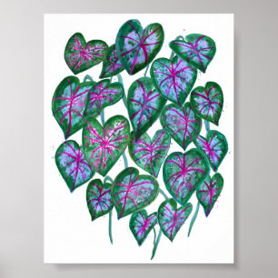 Poster Caládios Coloridos Arte Verde Rosa