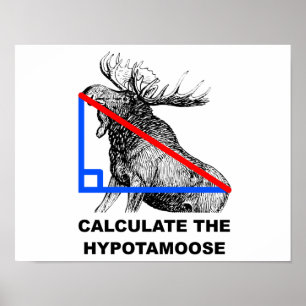 Poster Calcular o Cartaz Divertido do Hipotamoose