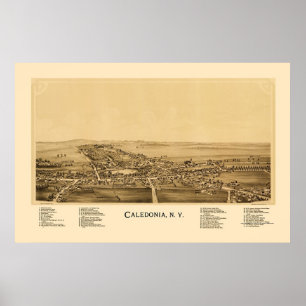 Pôster Caledónia, Novo Mapa Panorâmico - 1892