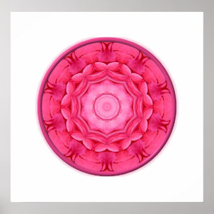 Pôster Caleidoscópio cor-de-rosa dos rosas