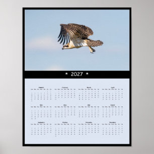 Poster Calendário 027 de Parede Águia-Pescadora - Aves de