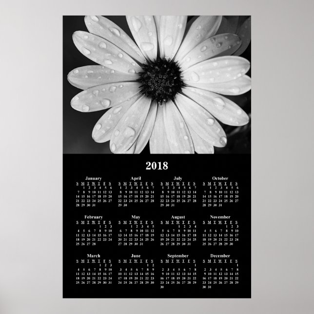 Pôster Calendário 2018 da Flor Margarida Africana (Frente)