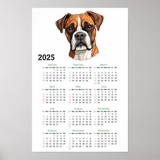 Poster Calendário American Bully 2025 (Frente)