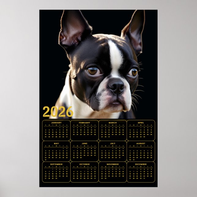 Poster Calendário Boston Terrier 2026 (Frente)