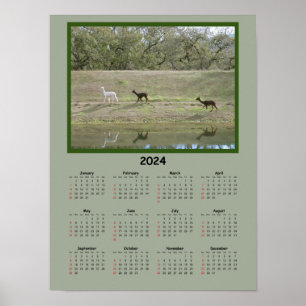 Poster Calendário - Calendário do Alpaca 2024