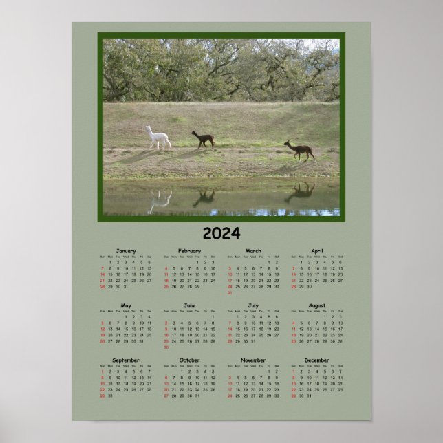 Poster Calendário - Calendário do Alpaca 2024 (Frente)