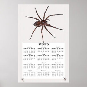 Pôster Calendário da Aranha Lobo de 2015