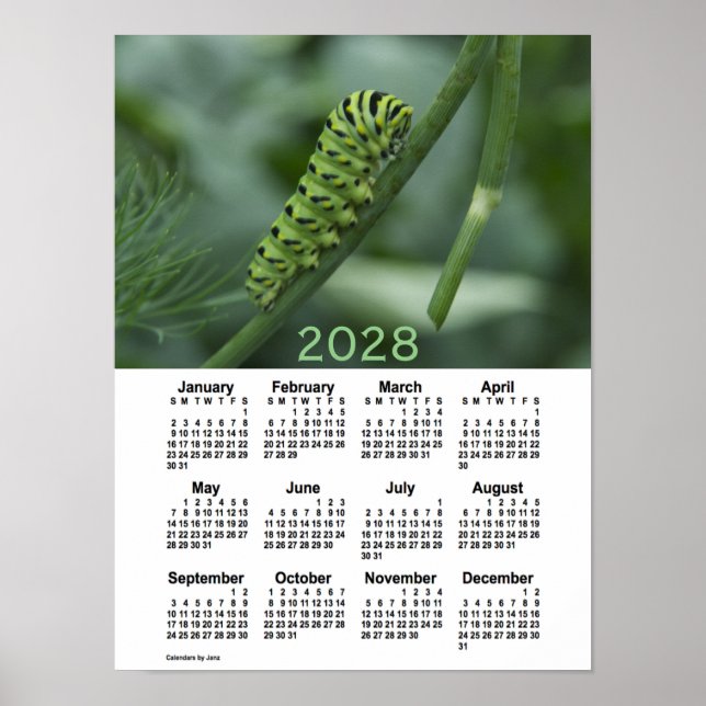 Poster Calendário da Lagarta da Tábua de Engolir 2028 por (Frente)