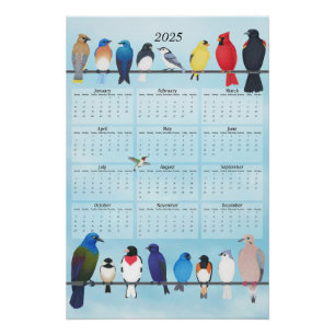 Pôster calendário das paredes das aves do quintal 2025