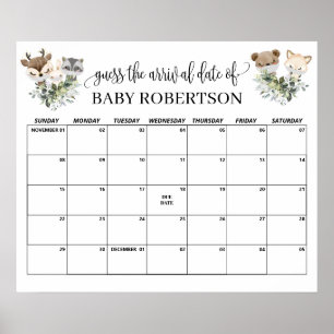 Poster Calendário de Chuvinha de Bebê na Floresta para Ad