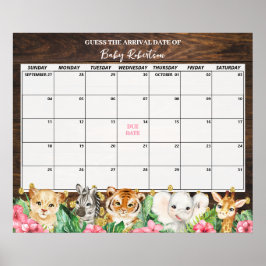 Poster Calendário de Data Provável de Bebê Safari Rosa Rú
