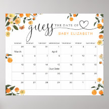Calendário de Data Provável do Bebê Little Cutie G