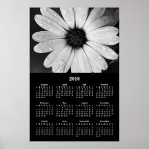 Calendário de Parede 2018 Flor Margarida Africana