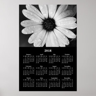 Pôster Calendário de Parede 2018 Flor Margarida Africana