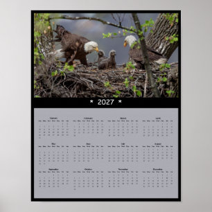 Poster Calendário de Parede Águia Americana 2027 - Majest