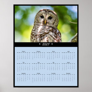 Poster Calendário de Parede da Coruja-barreada 2027 - Olh
