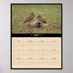 Poster Calendário de Parede da Coruja Buraqueira 2027 - E