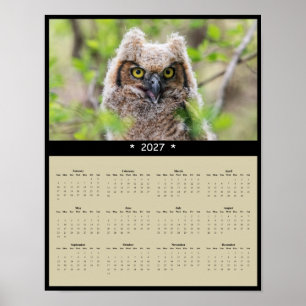 Poster Calendário de Parede da Coruja-de-chifres 2027: Gu