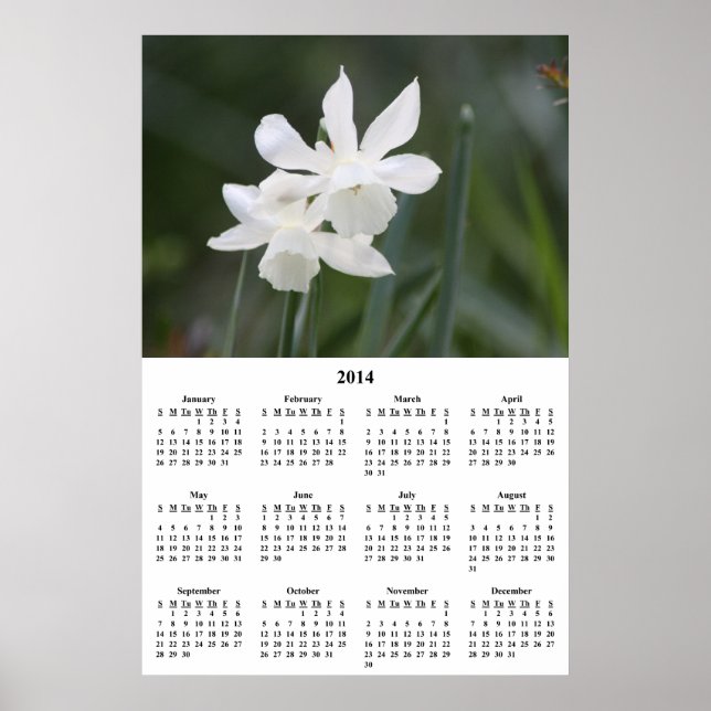 Pôster Calendário de Parede das Narcisas Brancas de 2014 (Frente)
