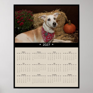 Poster Calendário de Parede de Cachorro de Raça Mista 202