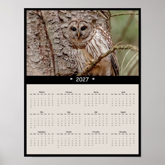 Poster Calendário de Parede de Coruja-barreada 2027 - Eco (Frente)