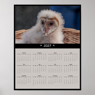 Poster Calendário de Parede de Coruja-Buraqueira Bebê 202