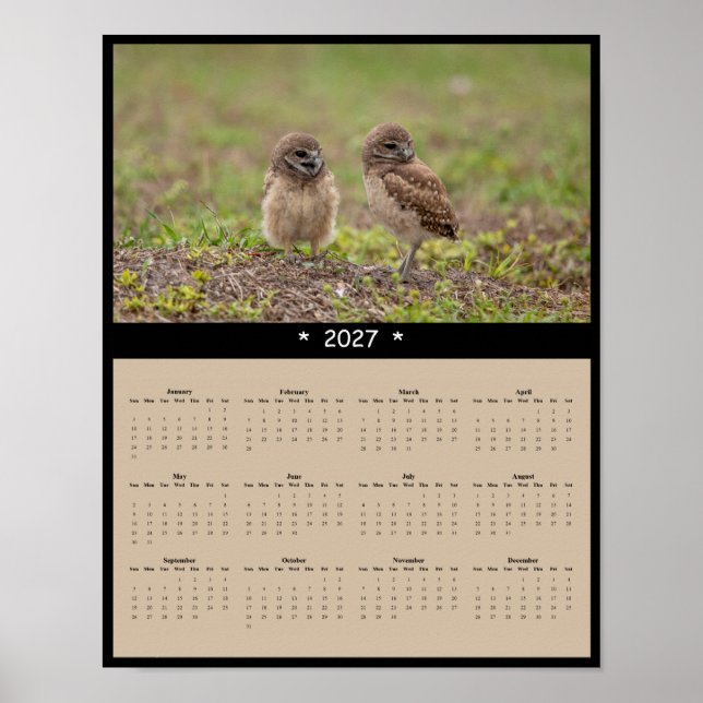 Poster Calendário de Parede de Corujas-buraqueiras 2027 - (Frente)