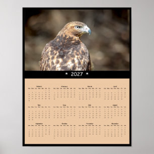 Poster Calendário de Parede do Falcão-de-cauda-vermelha 2